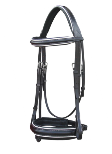 Padded Dressage bridle